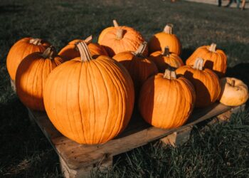 La vera storia dietro la zucca di Halloween